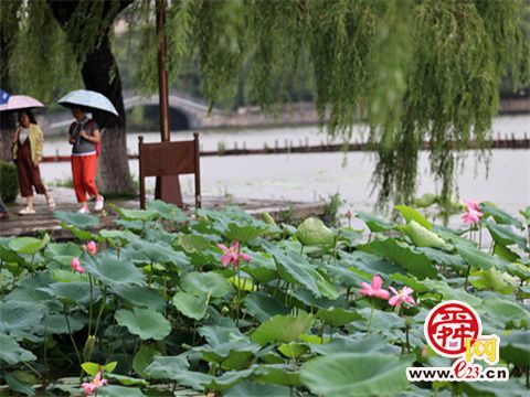 天下第一泉风景区对大明湖翠柳屏岛等驳岸进行加固修复