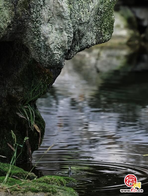 济南趵突泉水位达28.98米！ 月牙泉仍“蓄势待发”