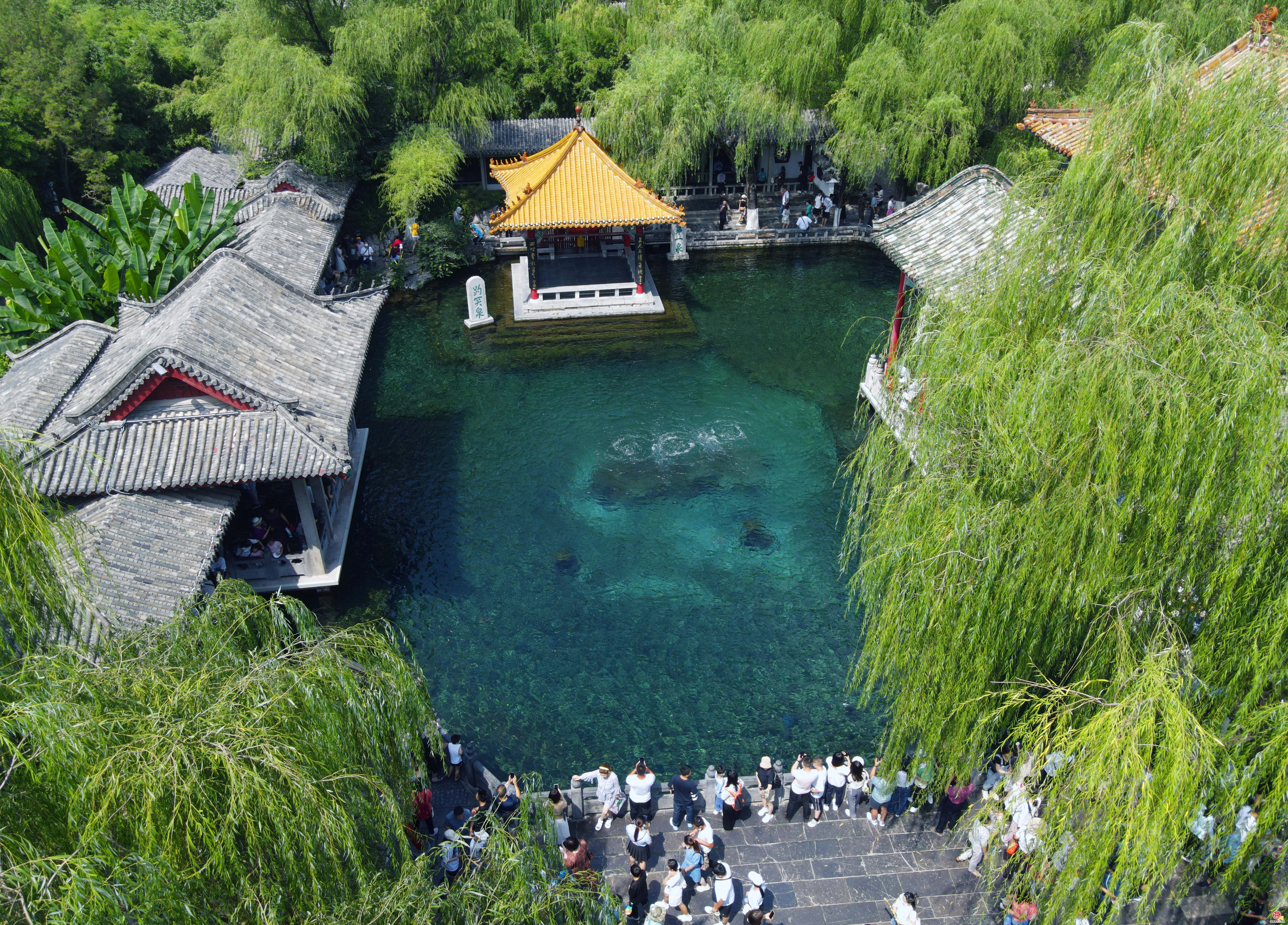 趵突泉地下水位突破29米大关！济南“泉水游”火爆