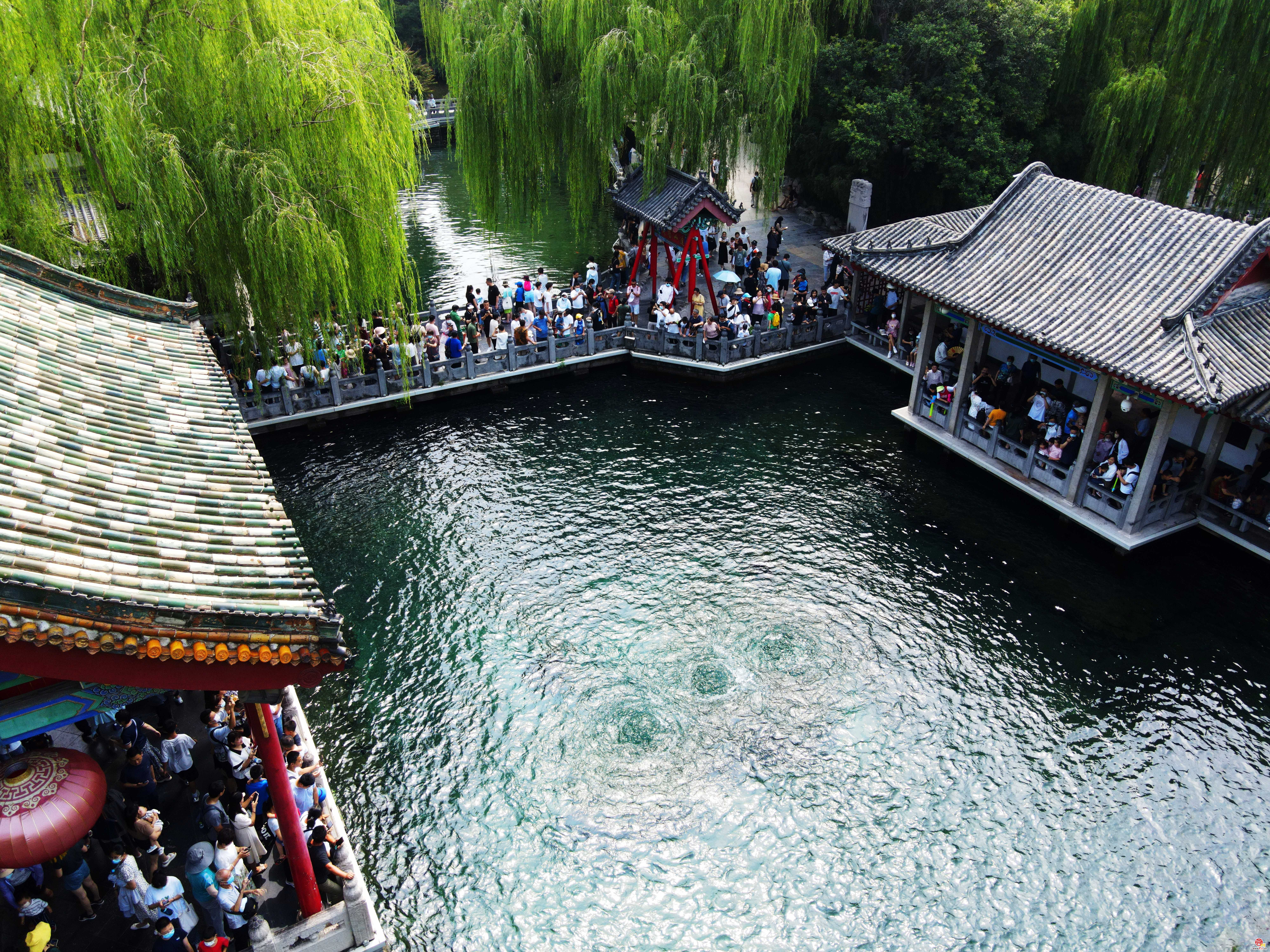 趵突泉地下水位突破29米大关！济南“泉水游”火爆