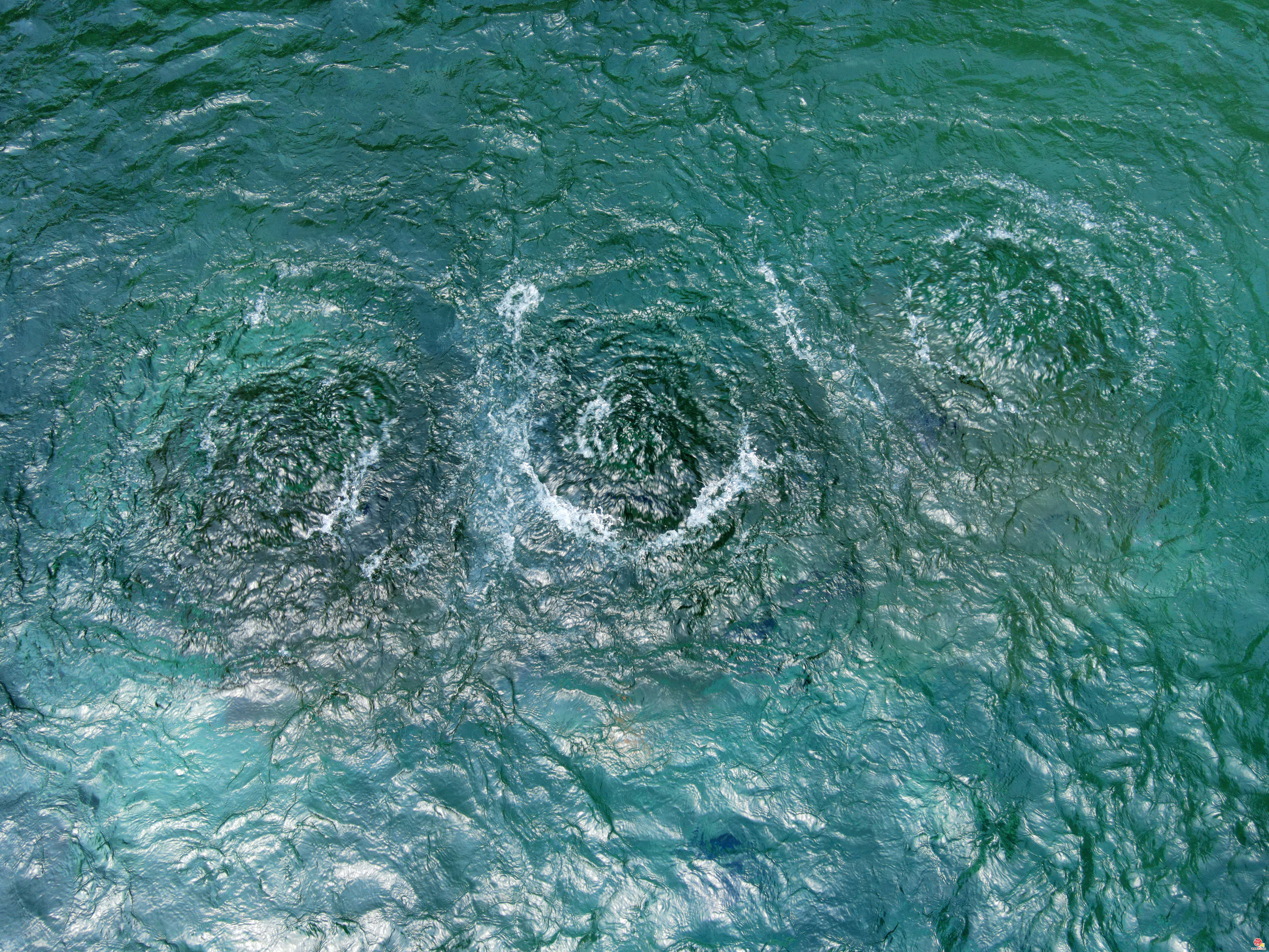 趵突泉地下水位突破29米大关！济南“泉水游”火爆