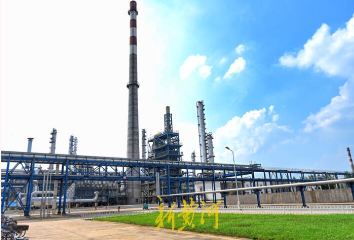 十强产业看枣庄 