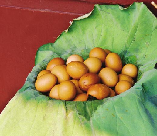 济南人的“爱莲说”