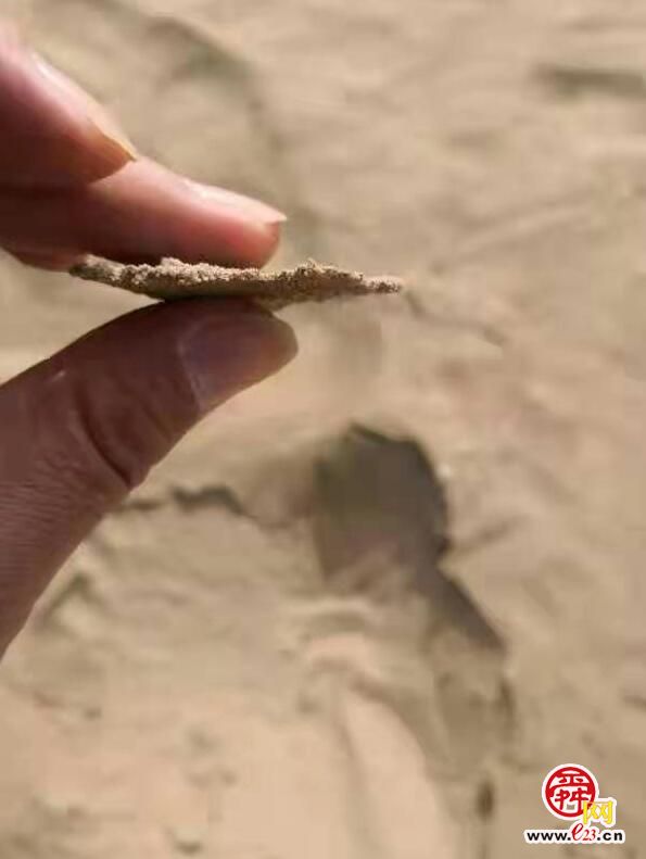 融媒·见证｜济南产新材料“拯救”上百万亩新疆棉花田——大地披上隐形新衣