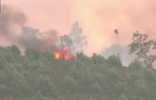 葡萄牙里斯本附近发生山火 大风高温为灭火带来困难