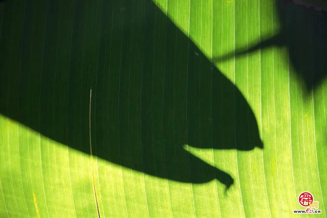 钱捍《大地之上》摄影展济南开幕