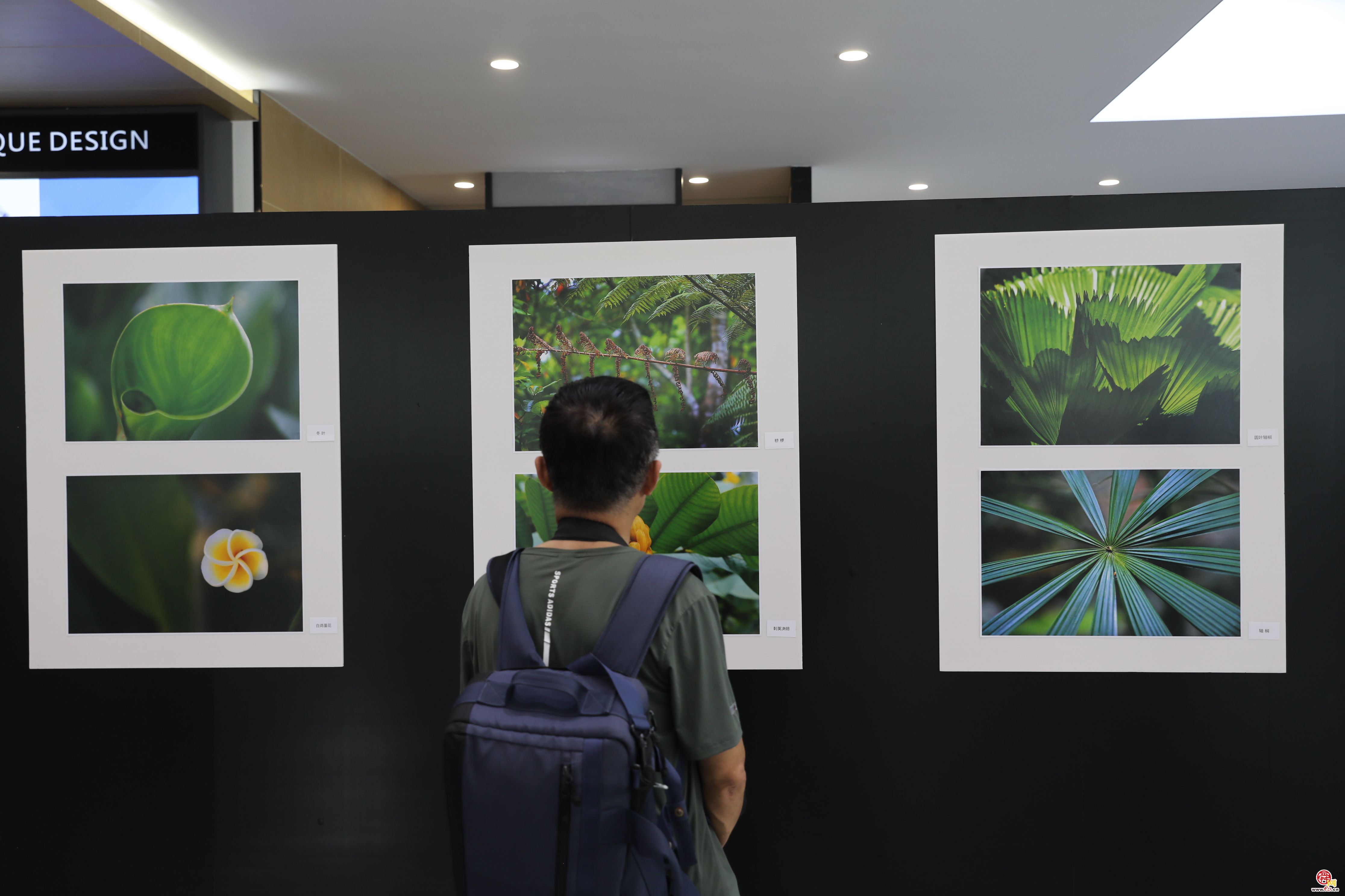 钱捍《大地之上》摄影展济南开幕