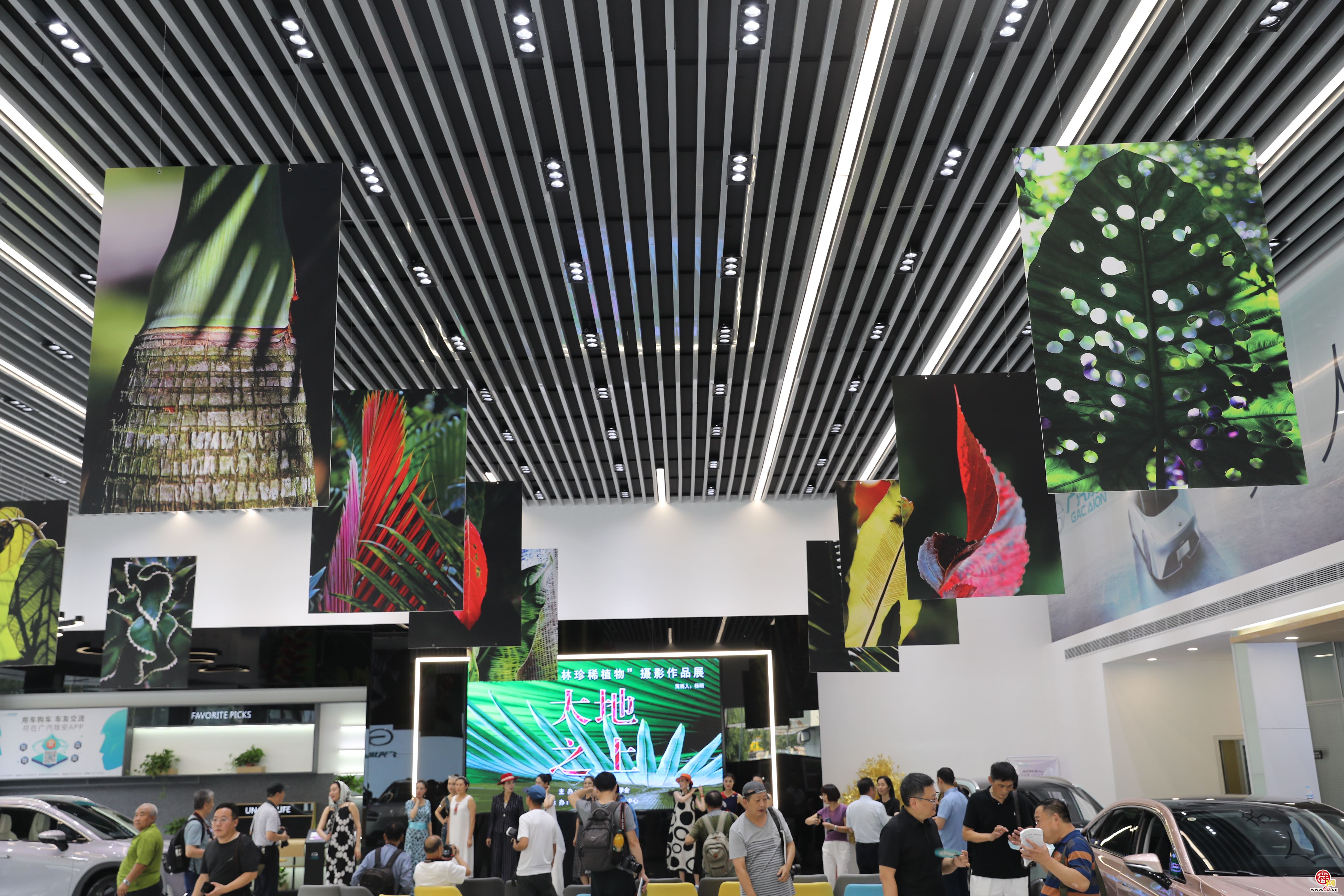 钱捍《大地之上》摄影展济南开幕