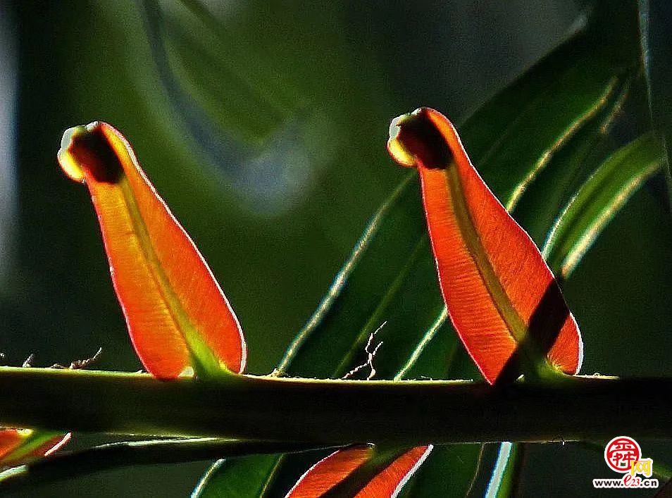 钱捍《大地之上》摄影展济南开幕