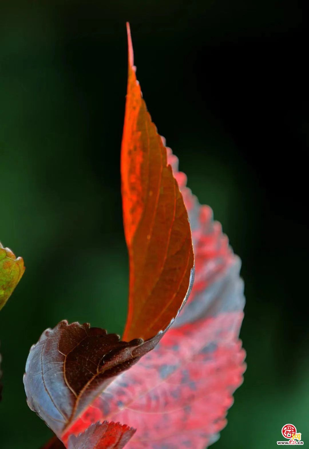 钱捍《大地之上》摄影展济南开幕