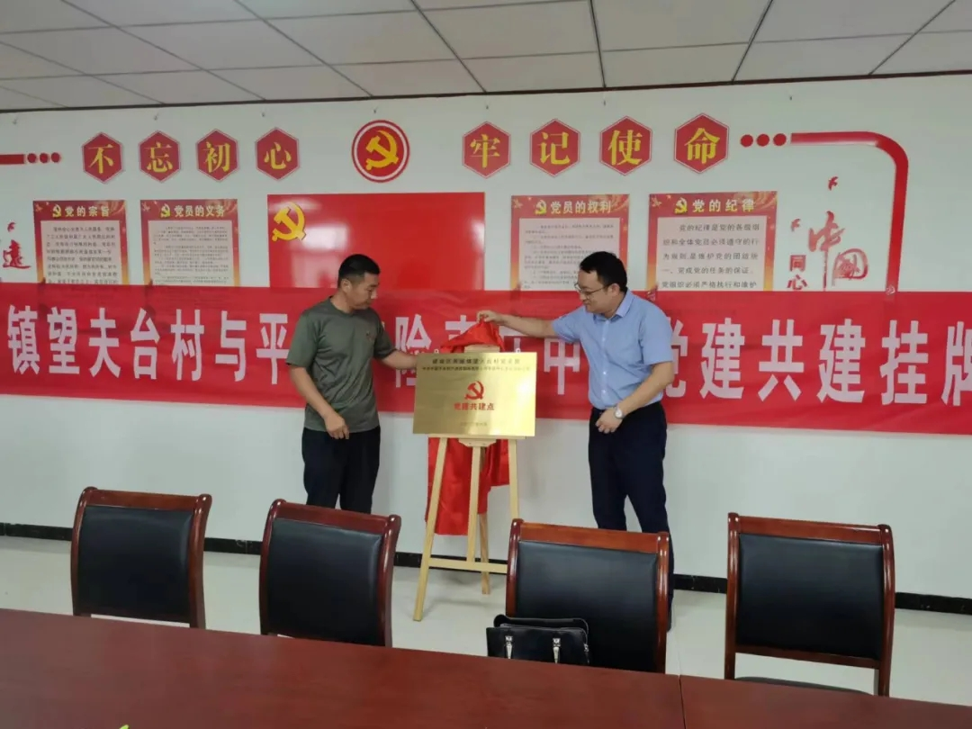 平安产险枣庄中心支公司乡风文明100行动 走进峄城望夫台村