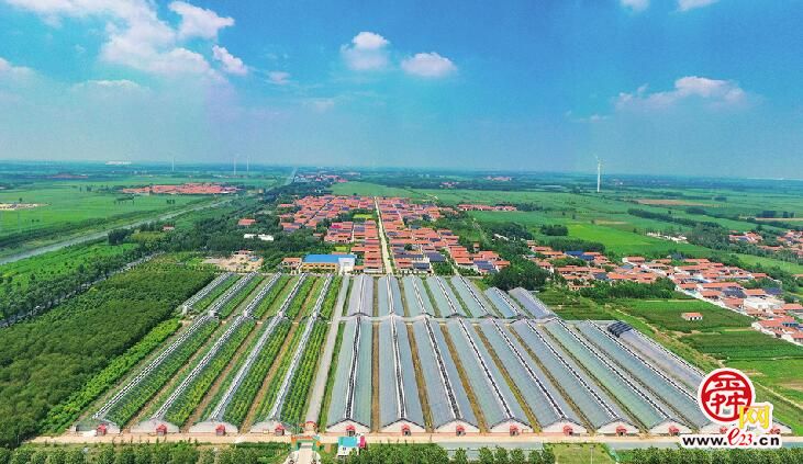 凭6500亩留兰香成为全国最大专业种植村 看逯家村如何逆袭成美丽“香”村