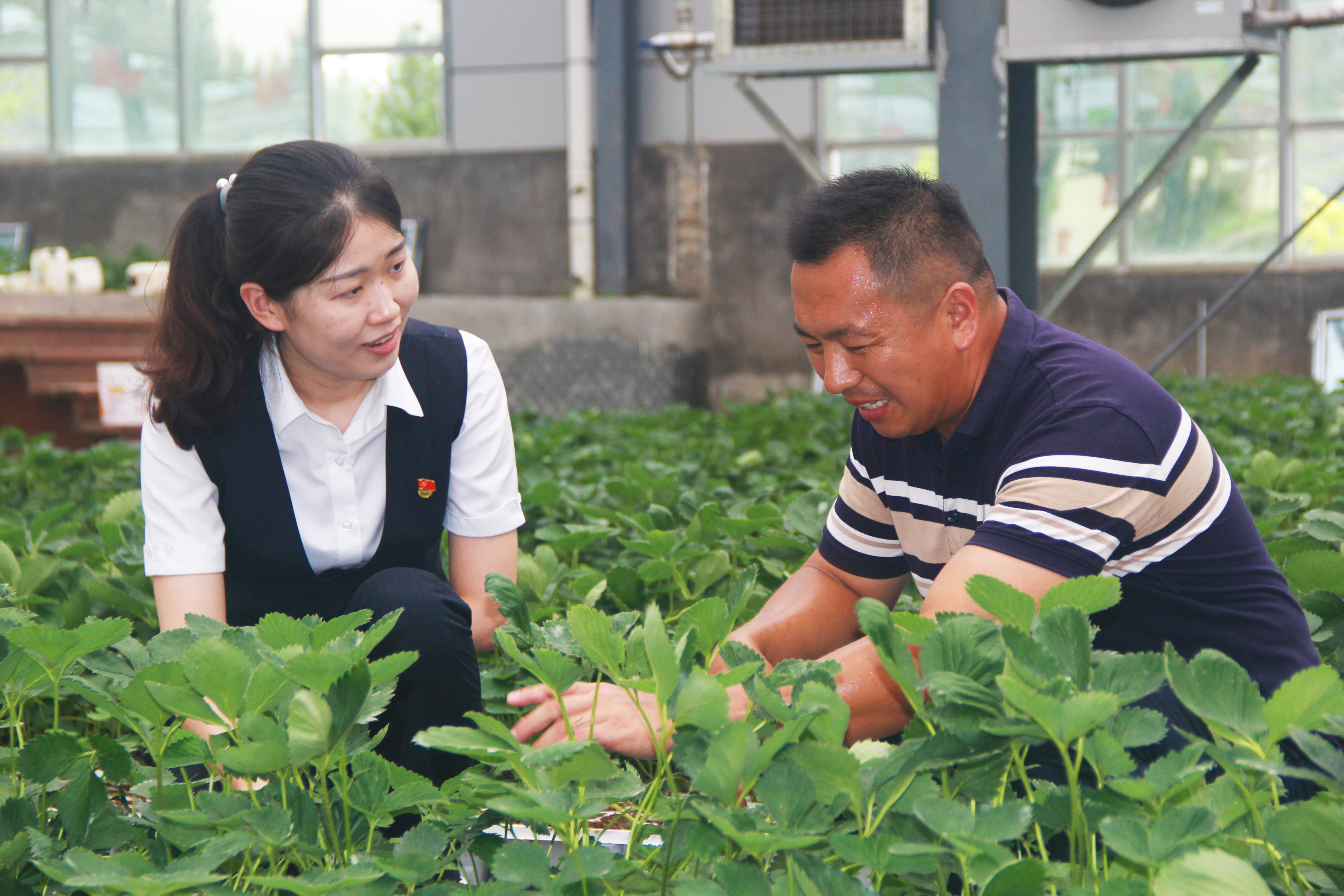 山东中行：“乡村好青年贷”助力乡村振兴跑出“加速度”