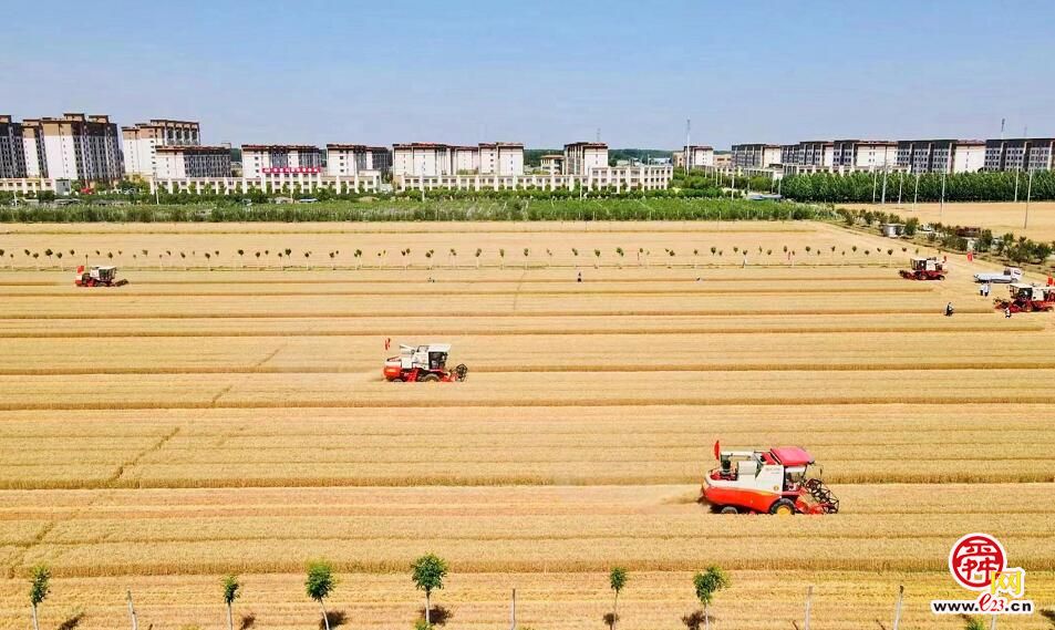 济南夏粮实现“三增” 2022年夏粮总产量达到139.7万吨，创10年来新高