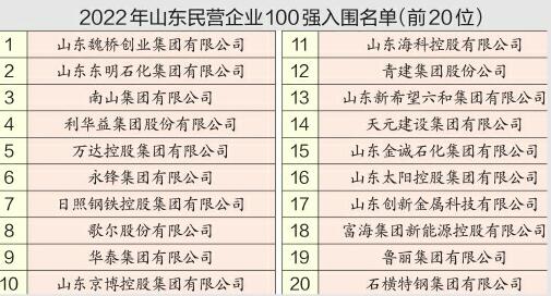 2022年山东民企100强入围名单公示 魏桥集团蝉联榜首，歌尔跃进前十