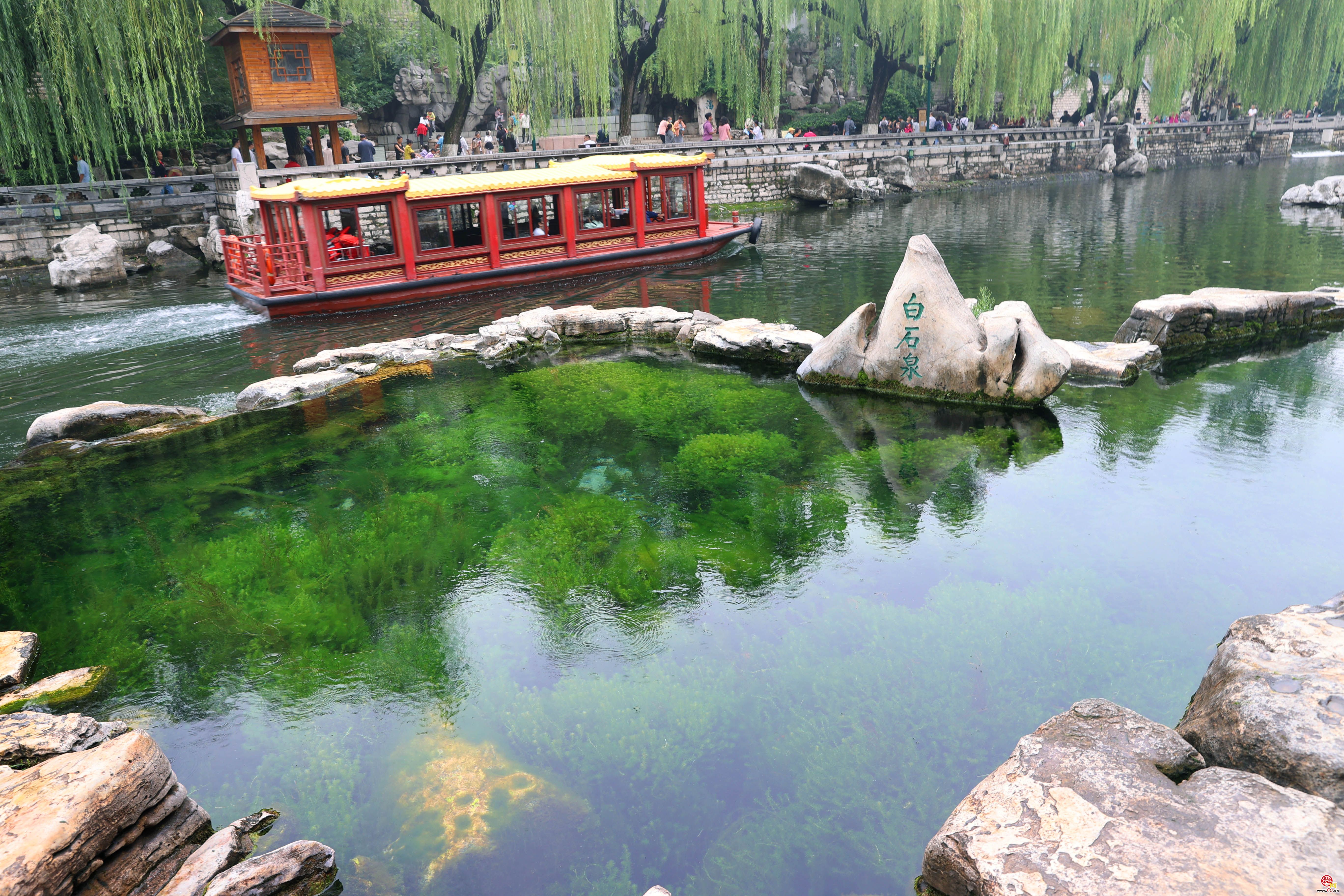 串串珍珠争相涌 漾溢涟漪白石泉