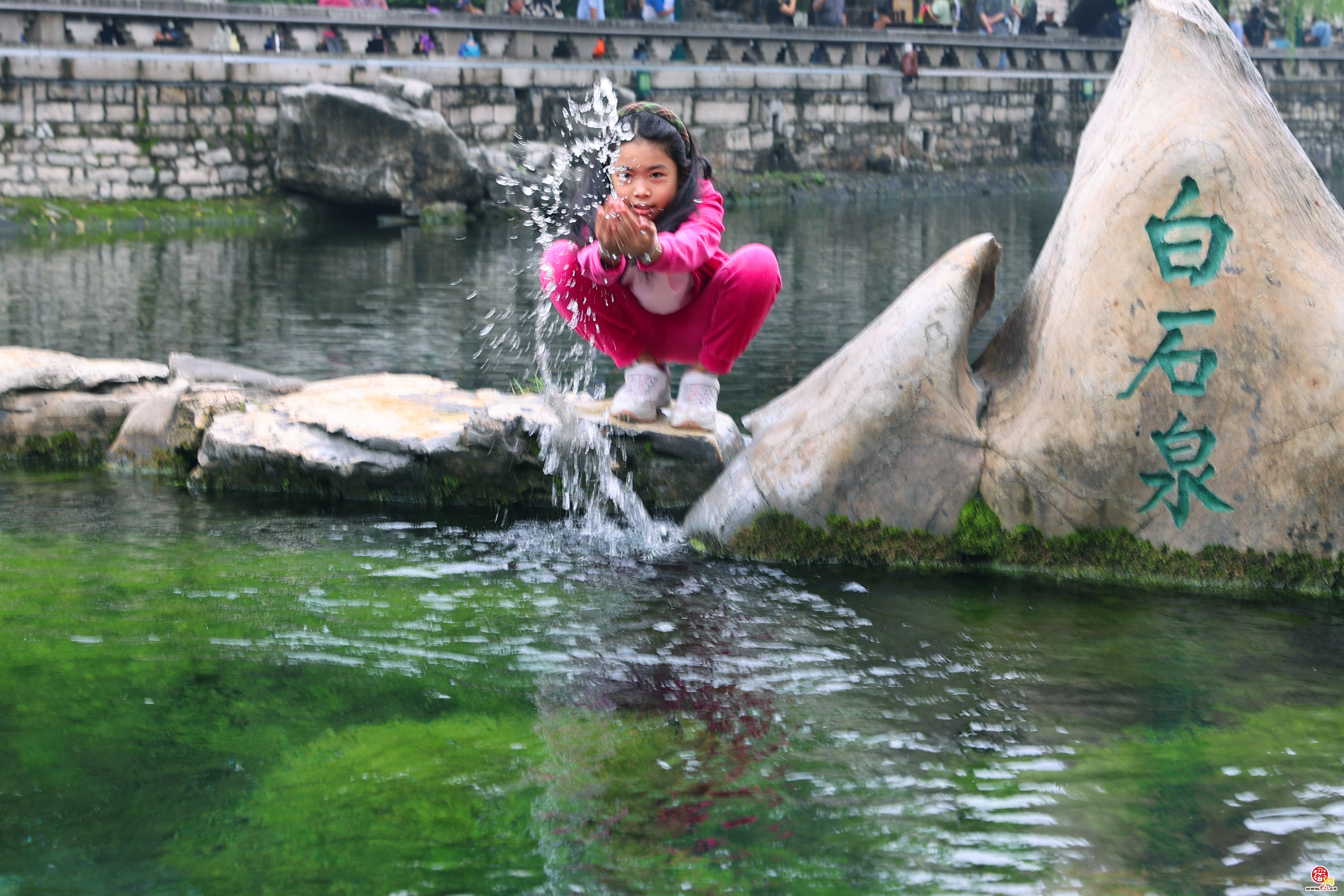 串串珍珠争相涌 漾溢涟漪白石泉