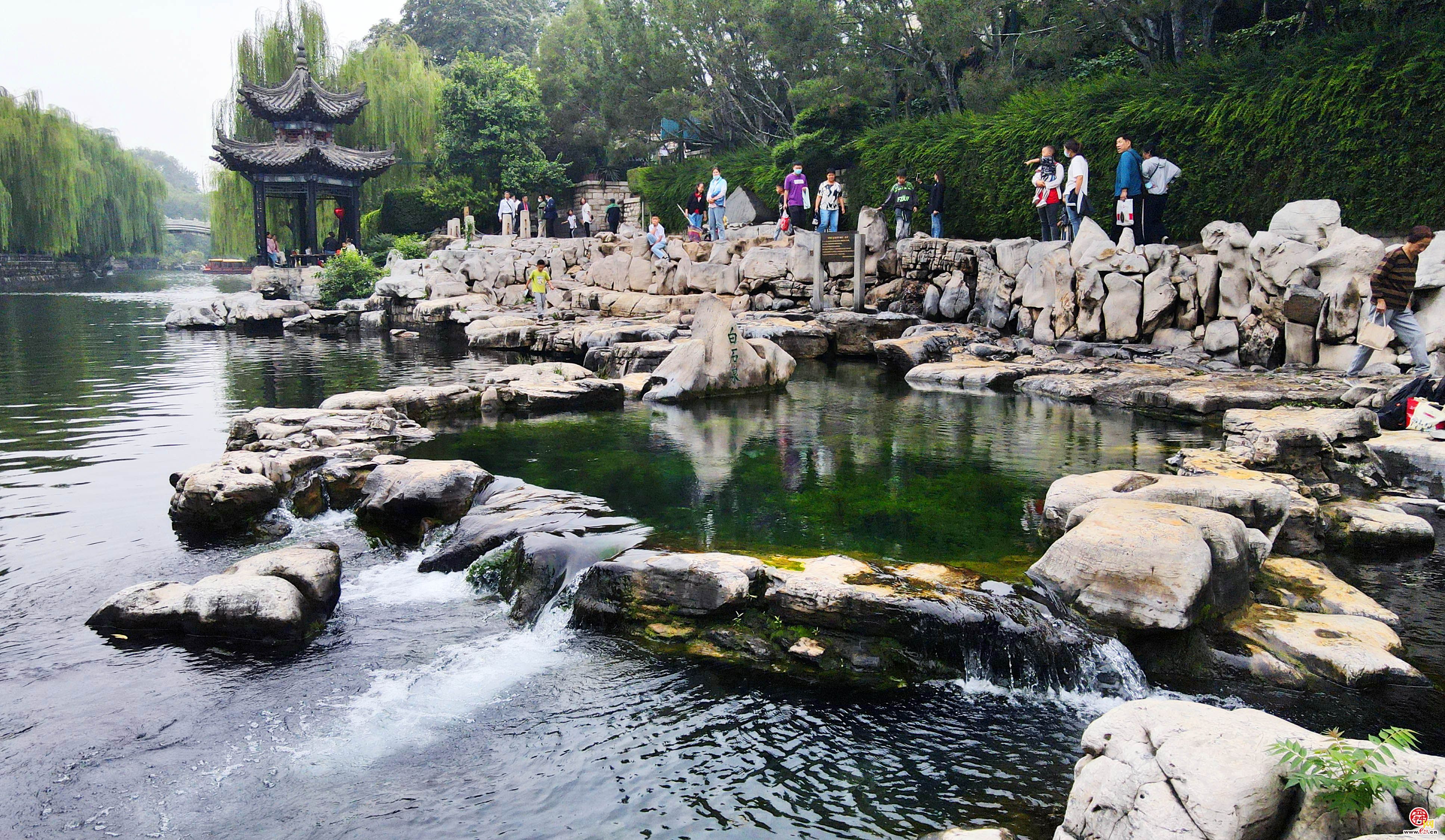 串串珍珠争相涌 漾溢涟漪白石泉