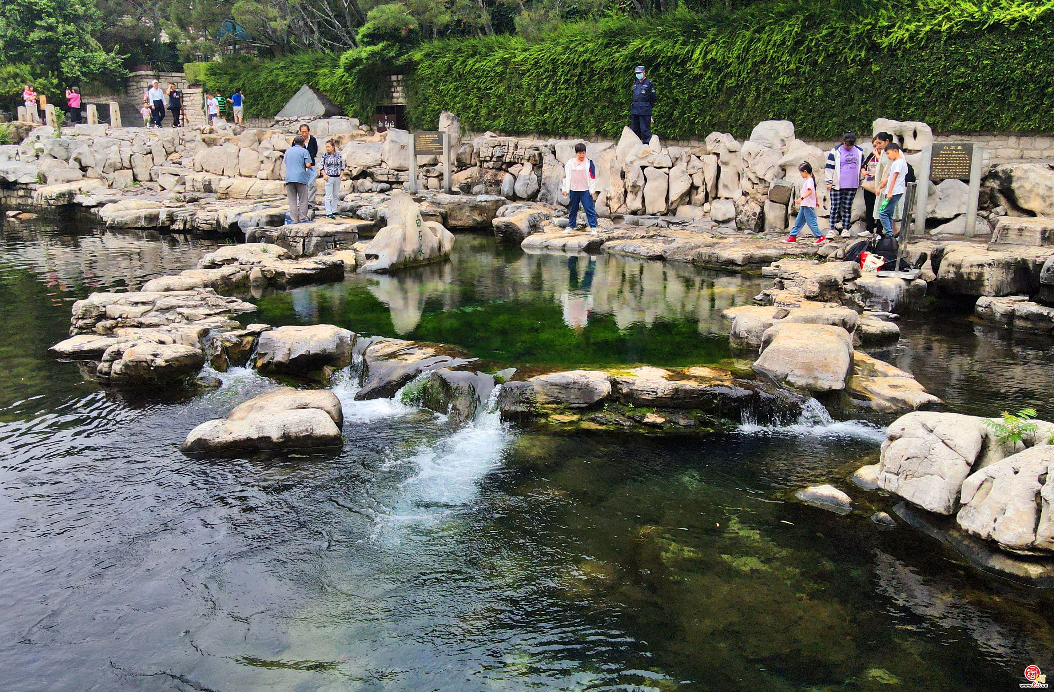 串串珍珠争相涌 漾溢涟漪白石泉