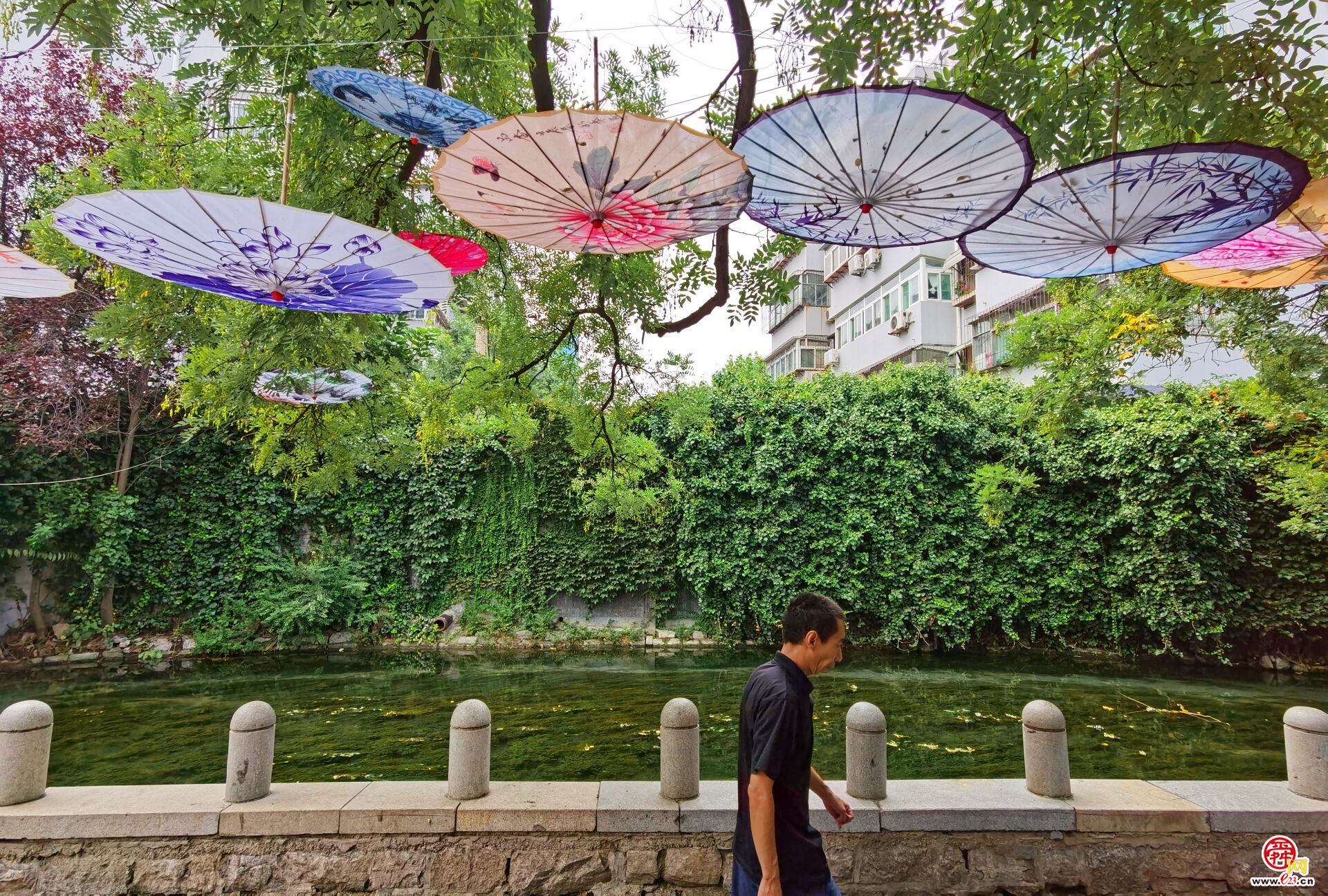 花伞扮靓老街巷，诗情画意似江南