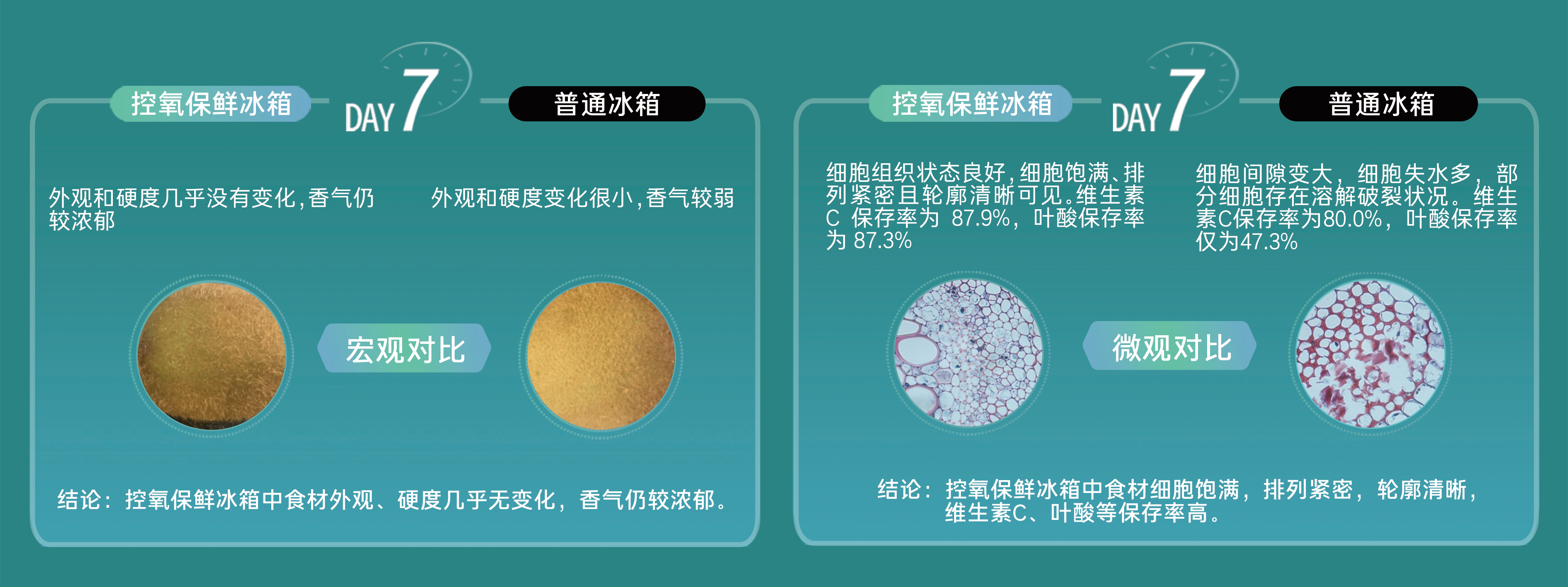 卡萨帝冰箱 控氧保鲜·神鲜盒 巡鲜之旅——探享博山源泉猕猴桃