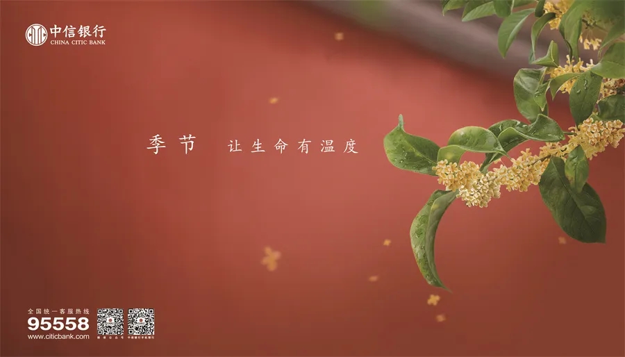 中信银行品牌焕新 让财富有温度