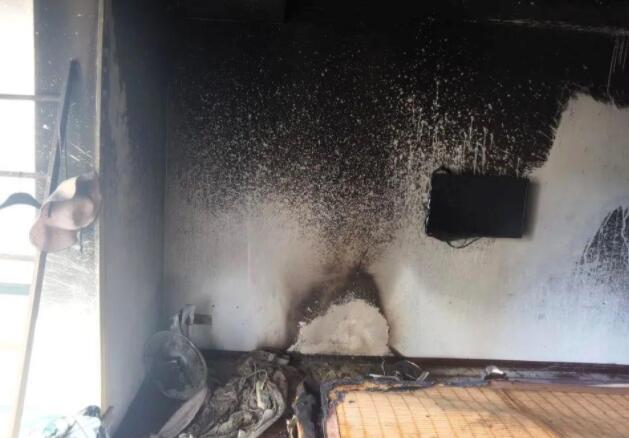 代步神器秒变“风火轮”！你还敢带它回家吗