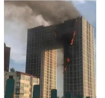 代步神器秒变“风火轮”！你还敢带它回家吗