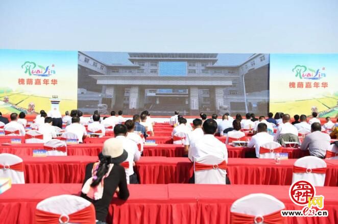 “庆祝2022年中国农民丰收节∙槐荫嘉年华”开幕