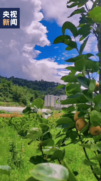 清华劳动课喊话云南农大丁同学！他这样回应