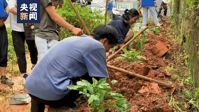 清华劳动课喊话云南农大丁同学！他这样回应