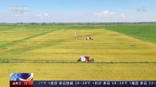 2022骞村叏鍥藉绮€讳骇閲?947.8浜挎枻 姣斾笂骞村鍔?8.7浜挎枻