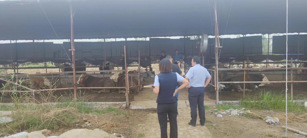 邮储银行济南市分行优化乡村金融环境 全面推进乡村振兴