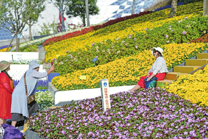 西城新添七彩花田