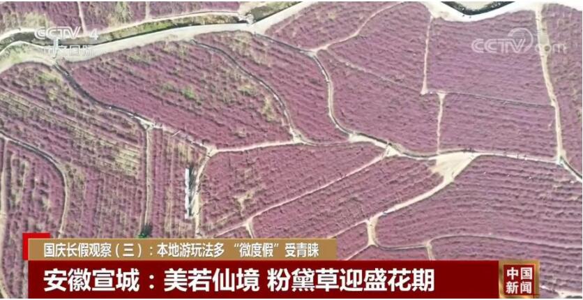 国庆长假观察:本地游玩法多 “微度假”受青睐