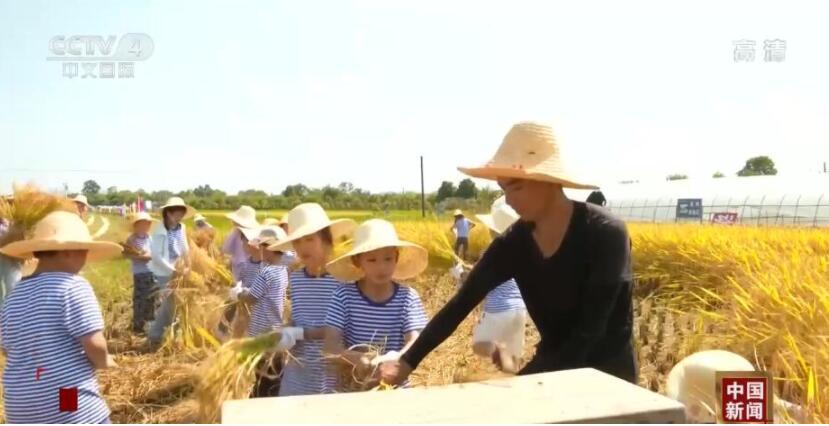 国庆长假观察:本地游玩法多 “微度假”受青睐