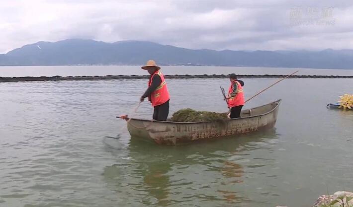 喜迎二十大｜洱海之治