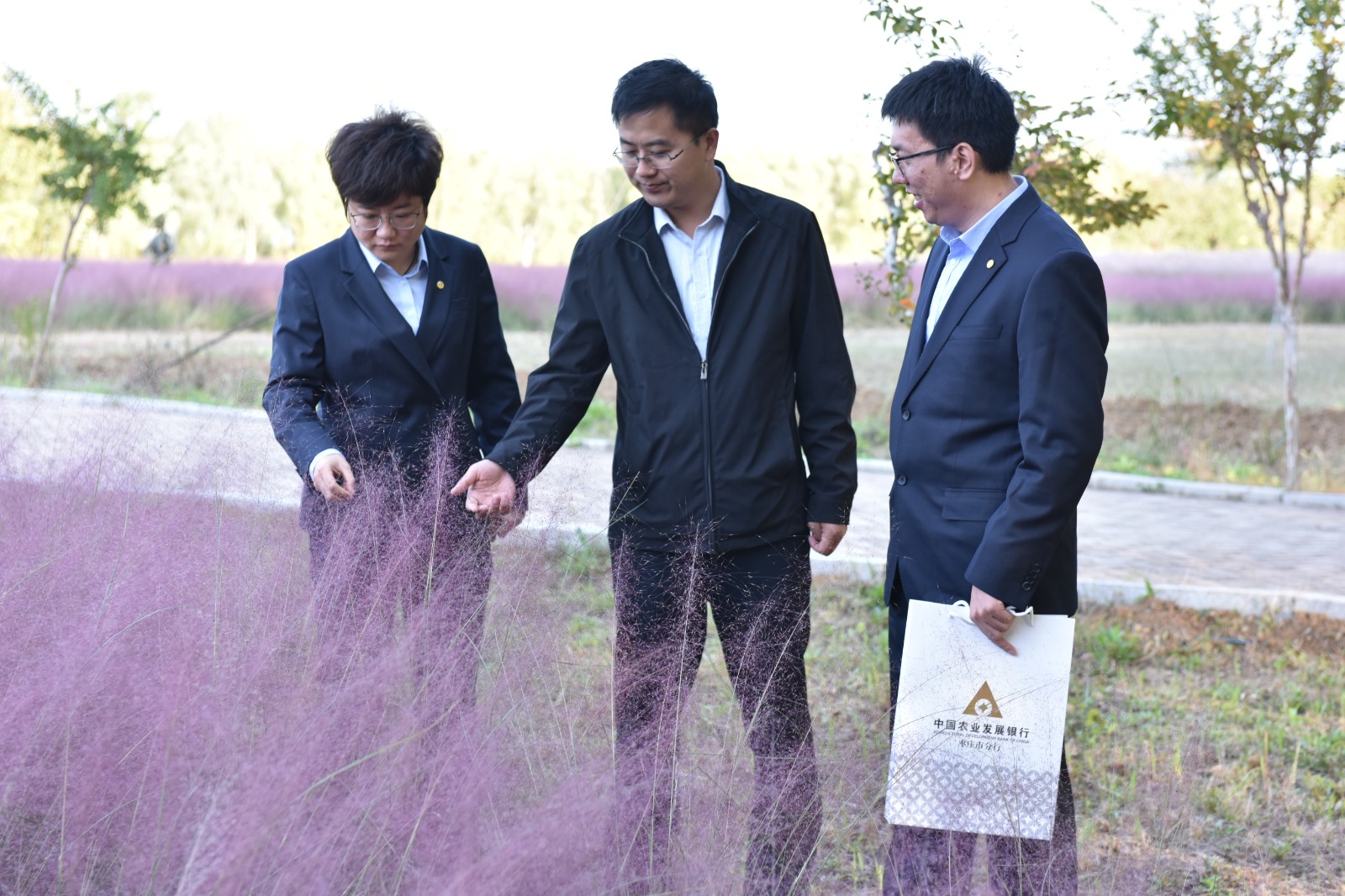 山东枣庄：“煤城” 绿意正盎然
