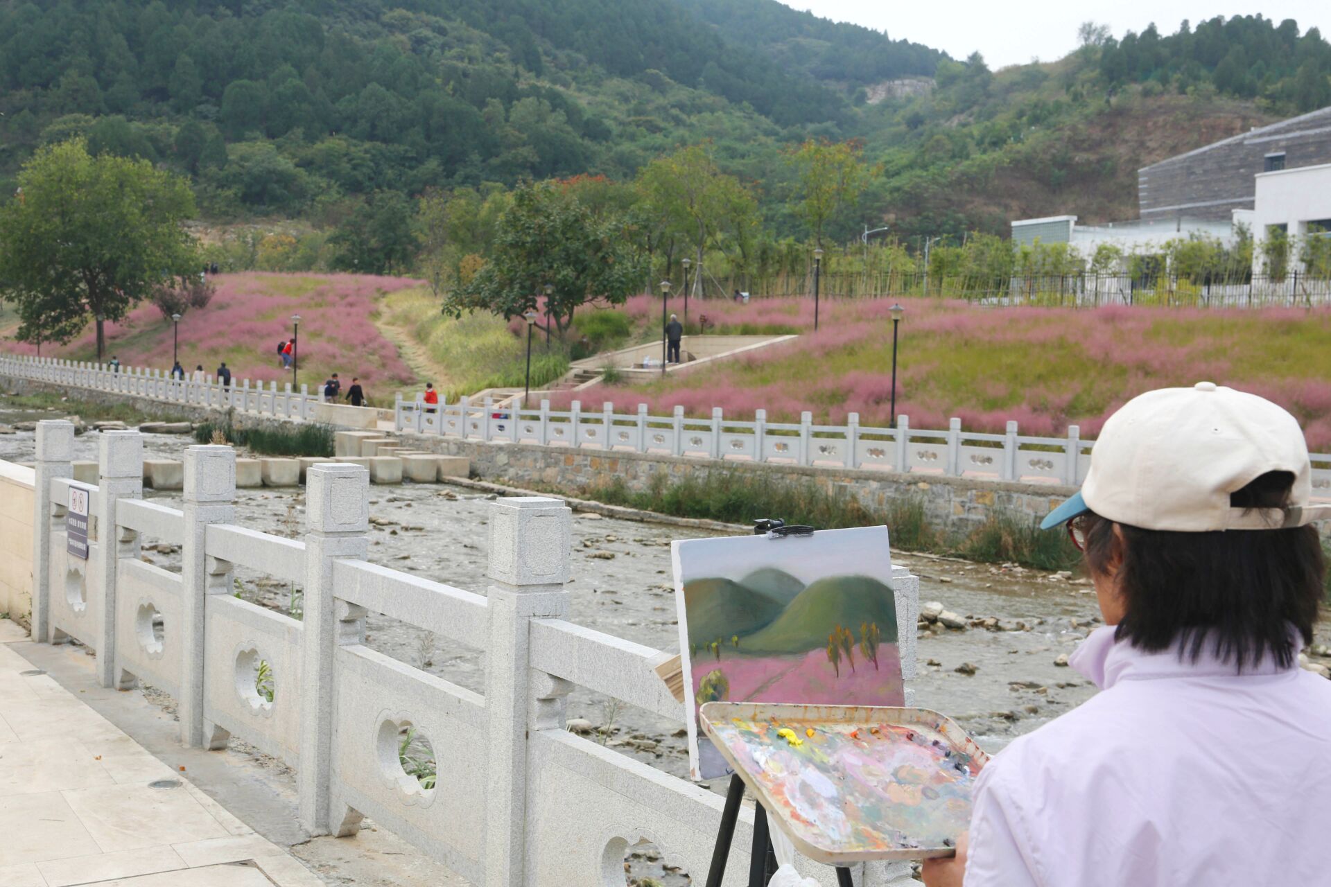 “粉色棉花糖”上线，扮靓泉城秋天