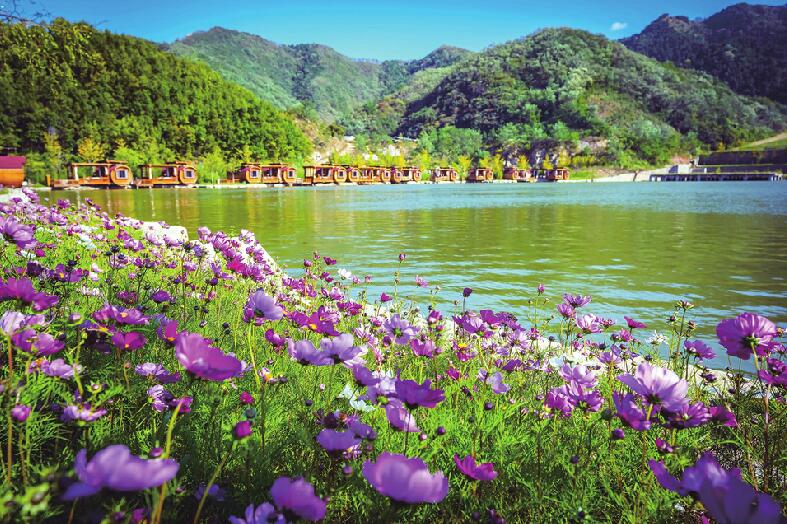 大自然的调色盘 九如山限定秋色上线