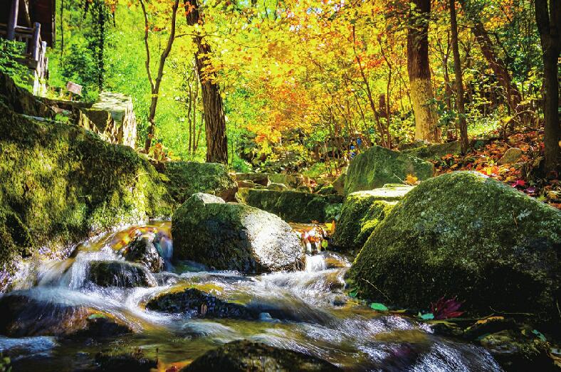 大自然的调色盘 九如山限定秋色上线