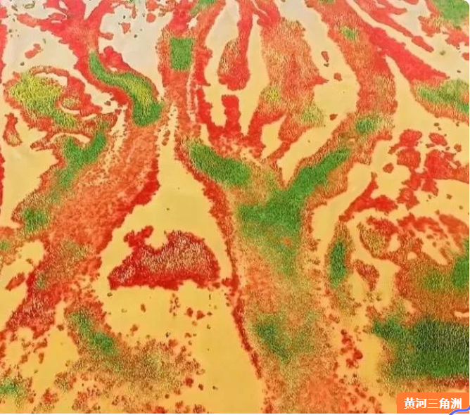 “五保”黄河，幸福流长