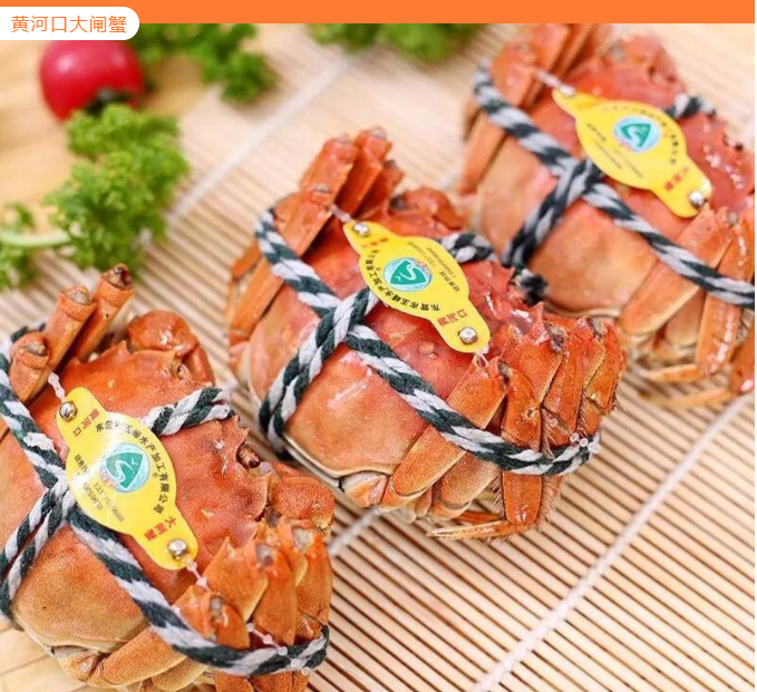 “五保”黄河，幸福流长