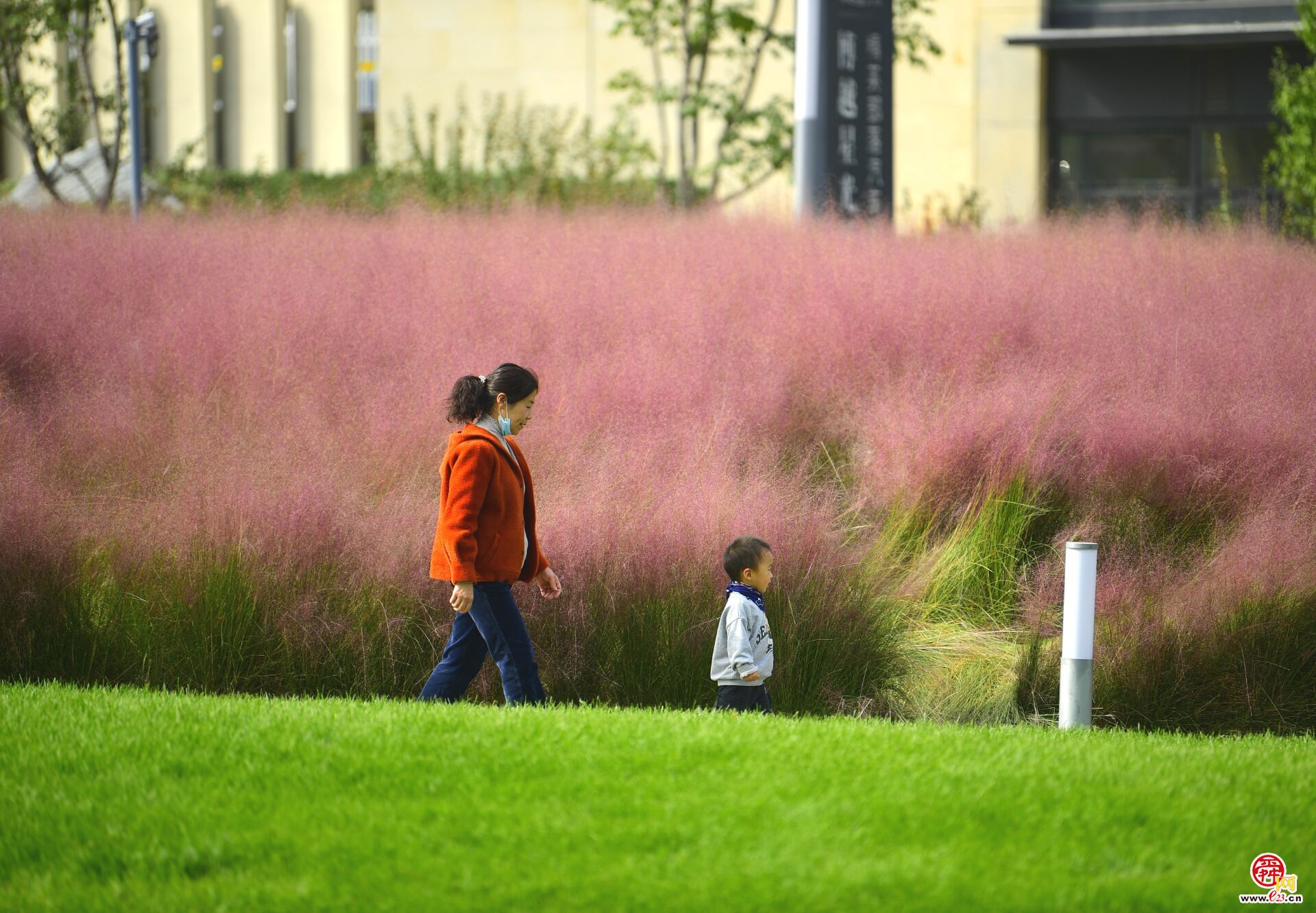 “健身步道”亮相中央商务区绸带公园