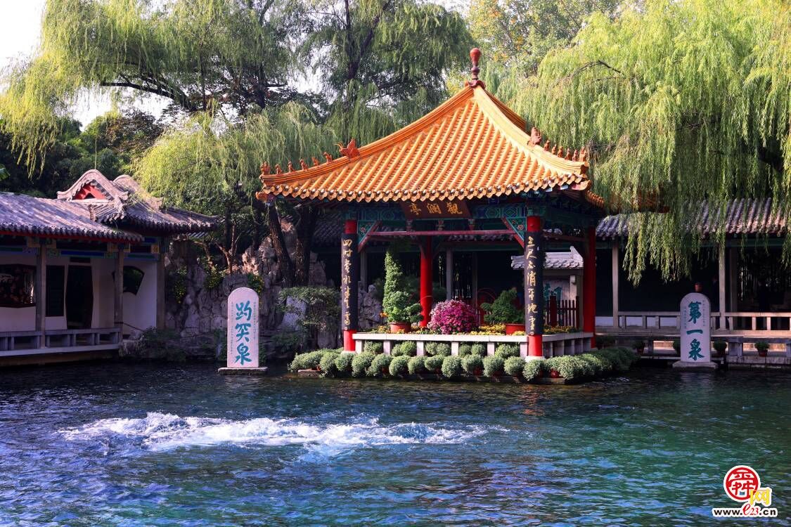 济南趵突泉畔菊香四溢 金秋菊展即将开启