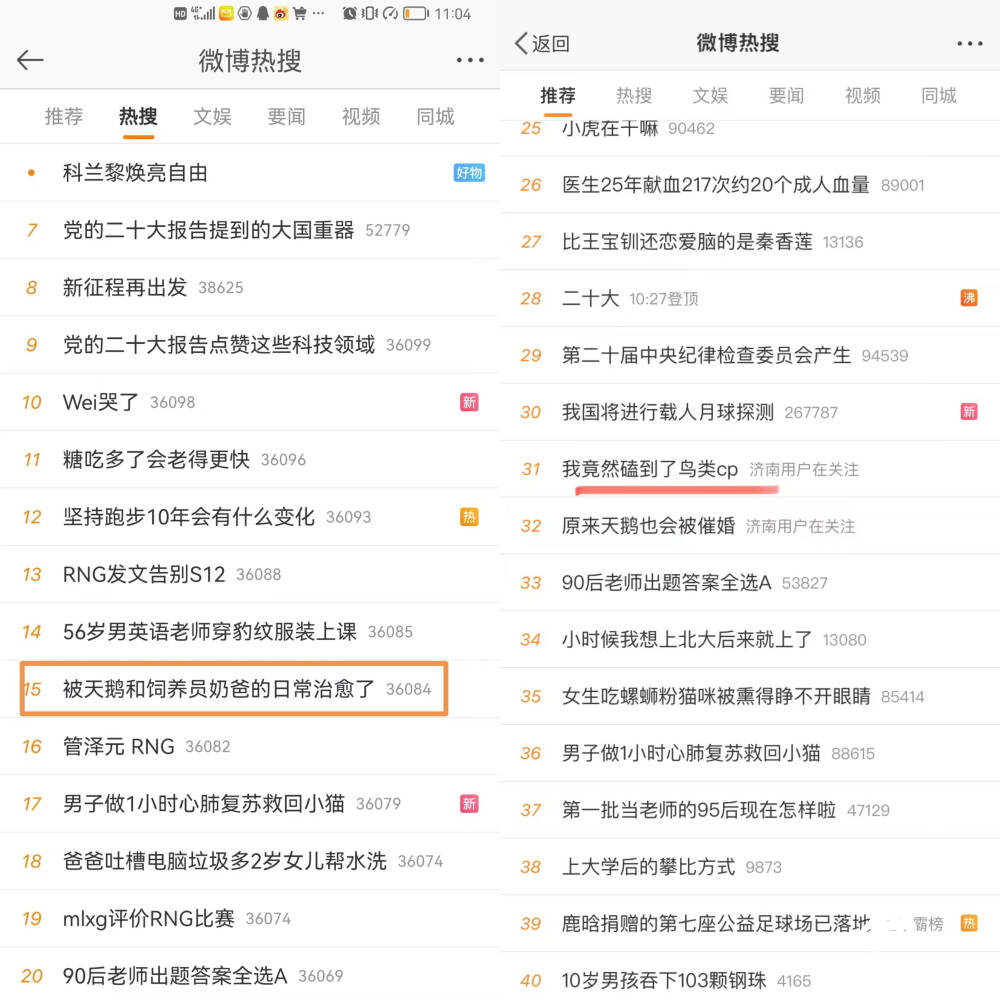 火到国外！这部展现黄河入海口风貌的纪录片也太赞了，快追！