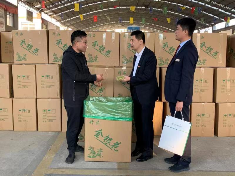 山东临沂：普惠金融绘就老区丰收景