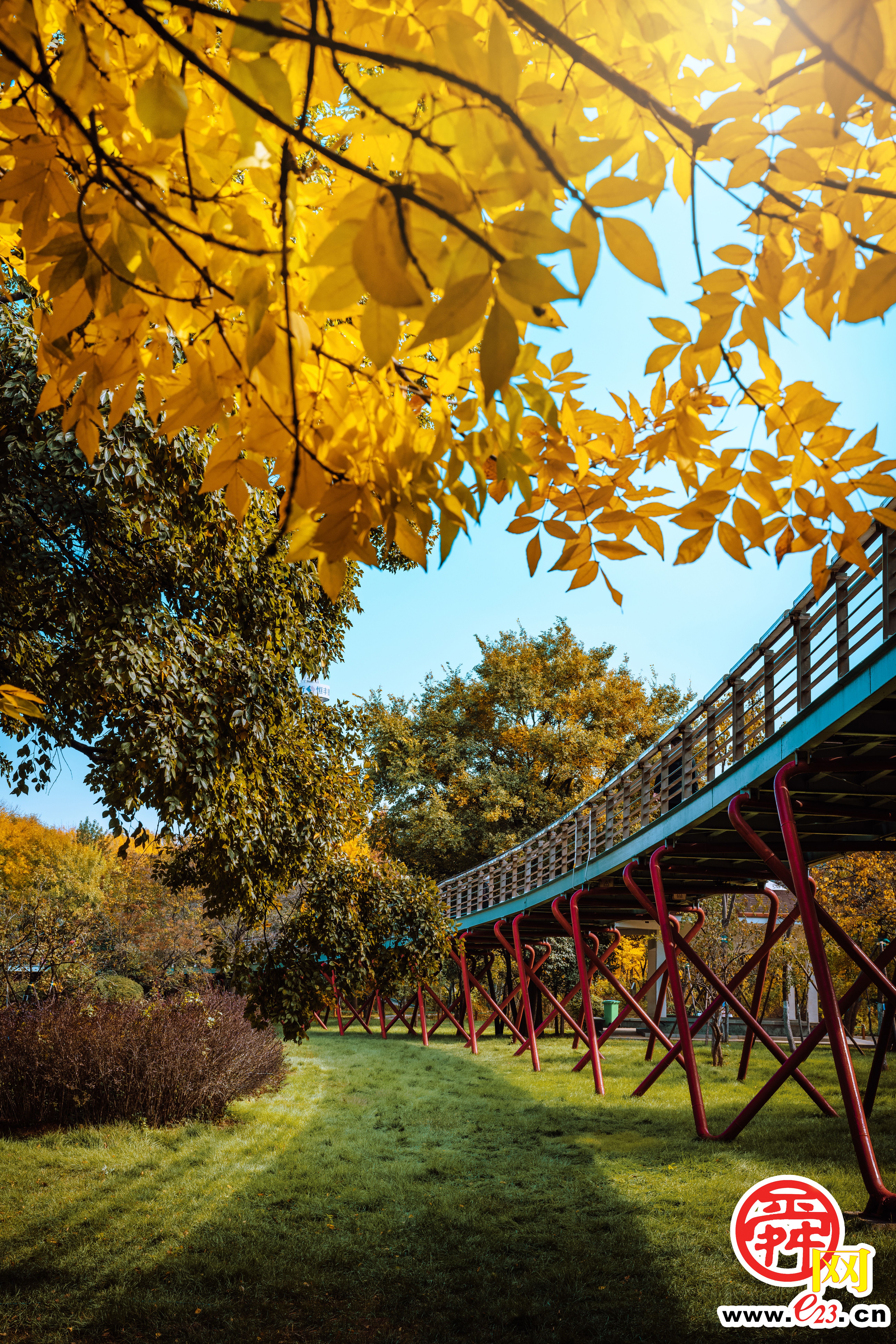 泉城公园的秋色，美得让人心旷神怡