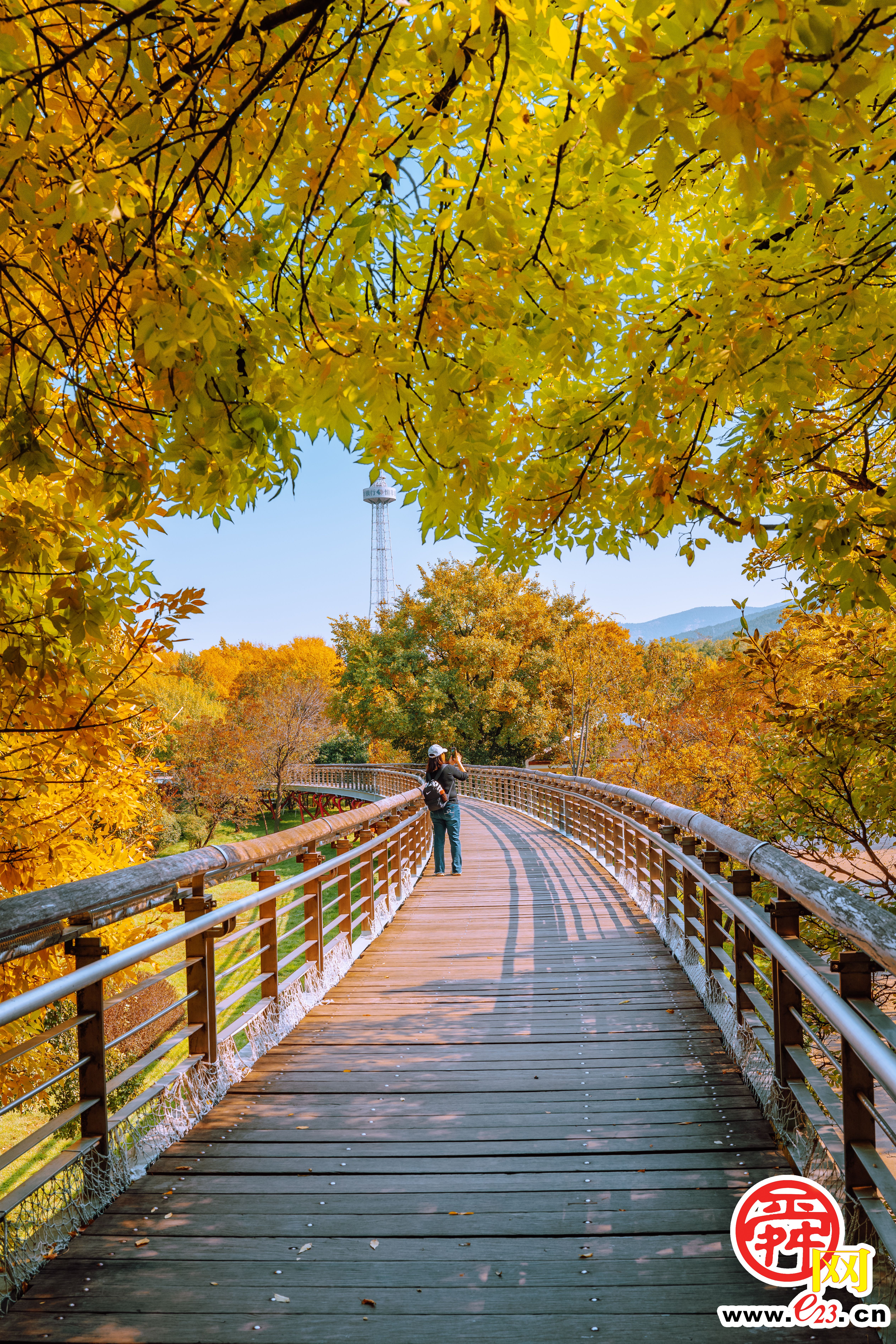 泉城公园的秋色，美得让人心旷神怡