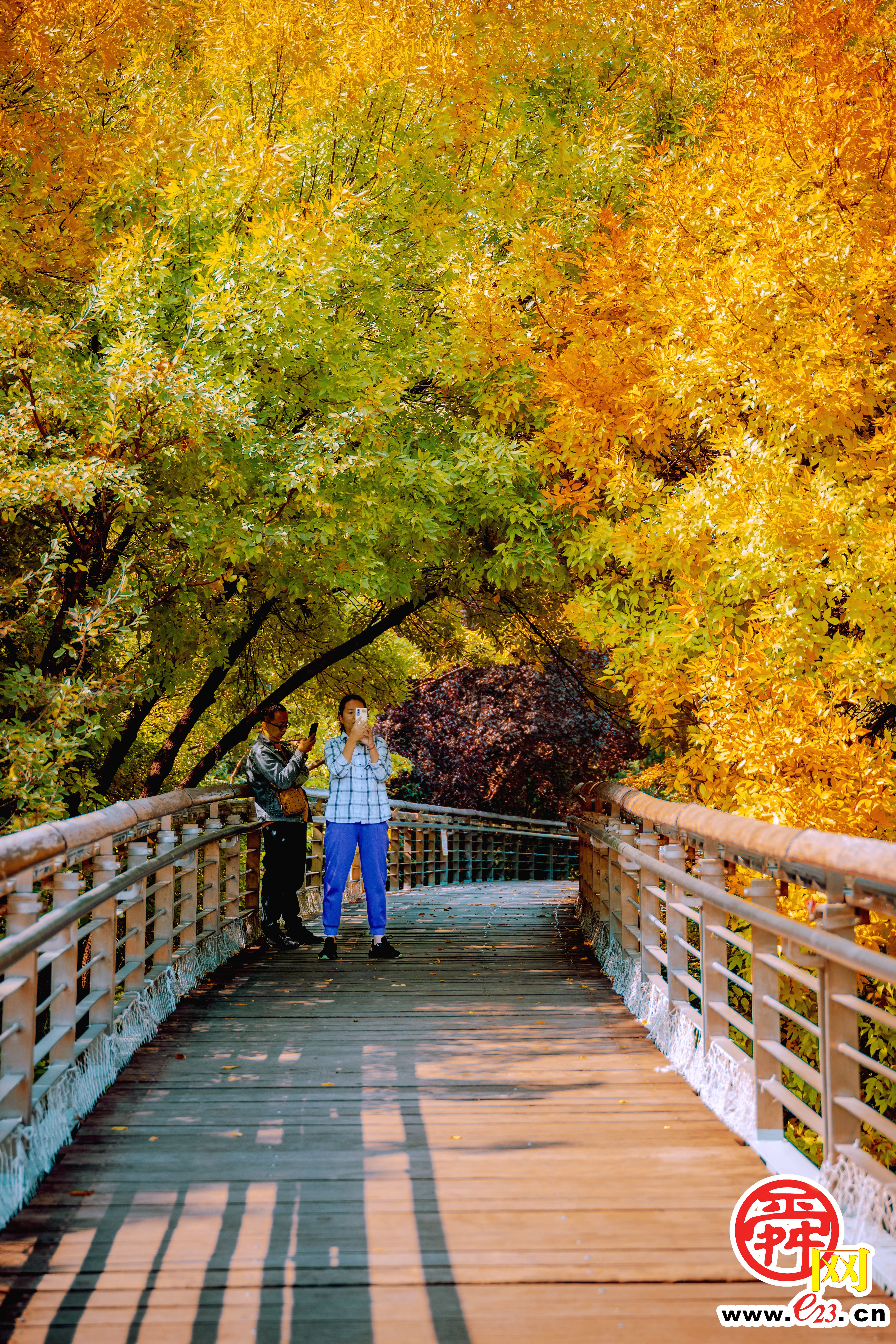 泉城公园的秋色，美得让人心旷神怡